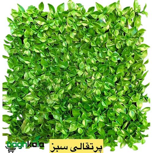 دیوار سبز پرتقالی سبز